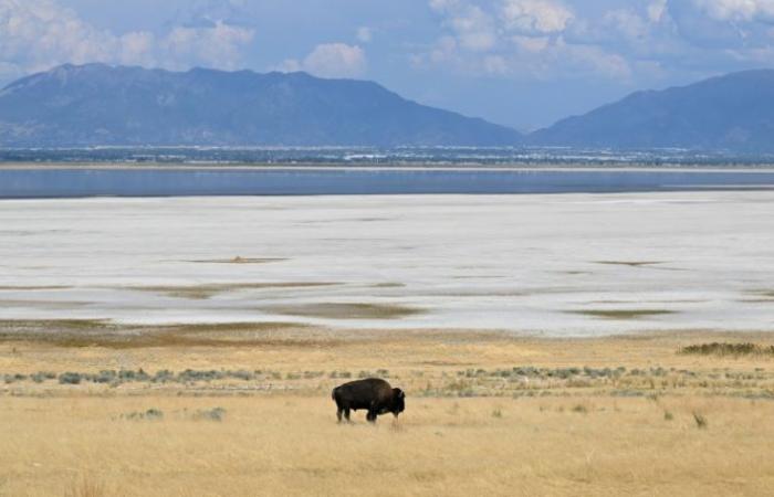 Nonostante il prosciugamento del Grande Lago Salato, lo Utah perdona lo scetticismo di Trump sul clima – 07/10/2024 alle 05:52