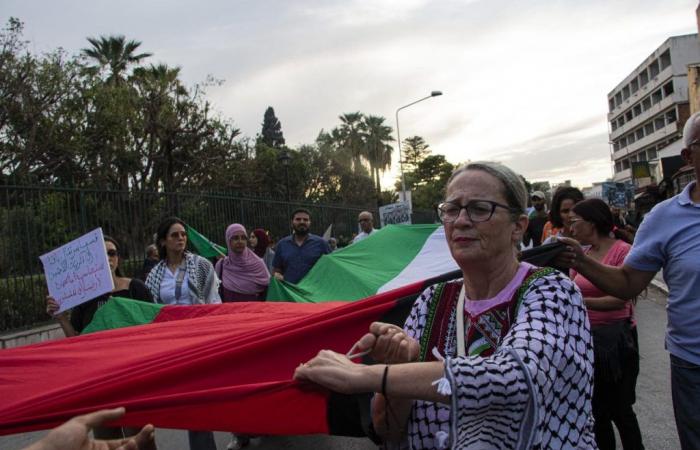 Tunisi: Marcia a sostegno di Palestina e Libano (Foto)