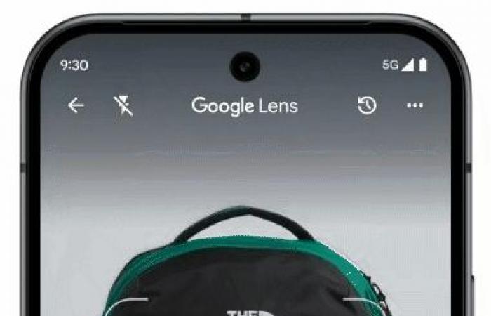 Panoramica AI e Google Lens: AI per le tue ricerche e i tuoi acquisti