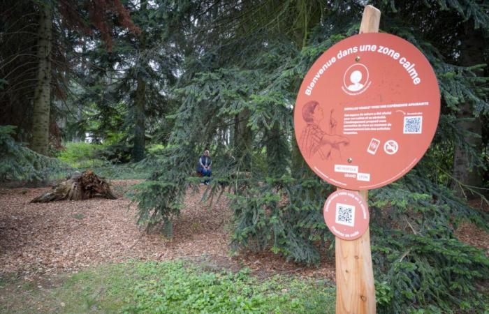 “zone tranquille” installate nel parco Parilly