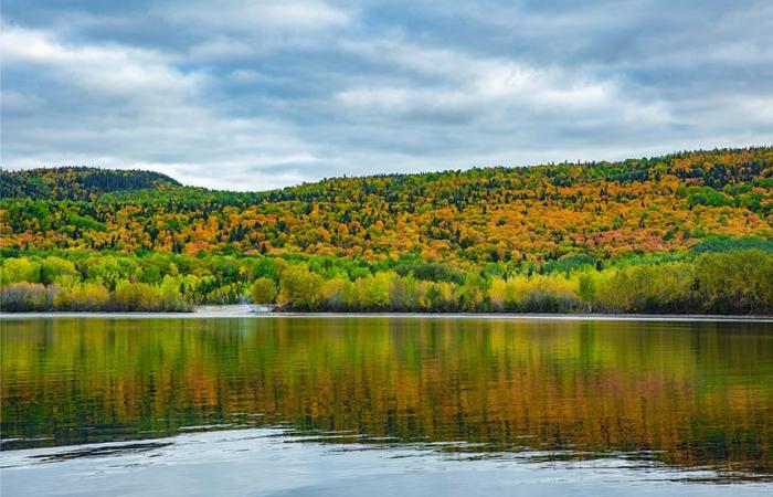 5 escursioni a Saguenay–Lac-Saint-Jean per ammirare i colori dell’autunno