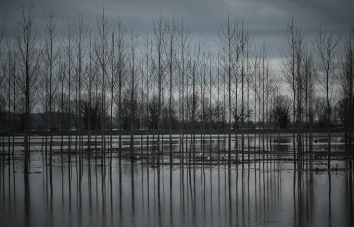 Météo France colloca tre dipartimenti in vigilanza arancione