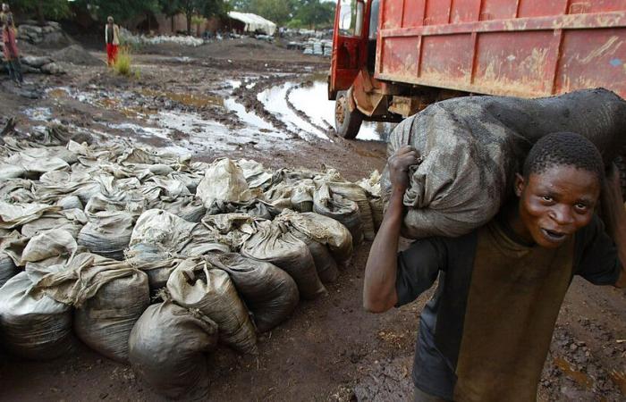 USA: il cobalto proveniente dalla RDC è incluso nella lista dei prodotti “lavoro minorile”.