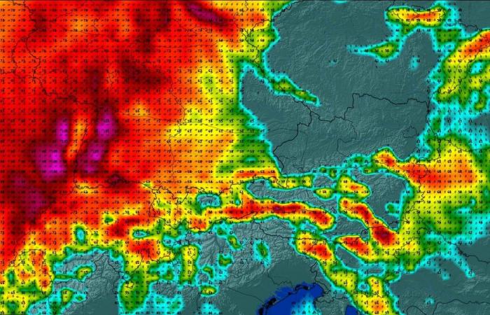 le belle e le brutte notizie della settimana