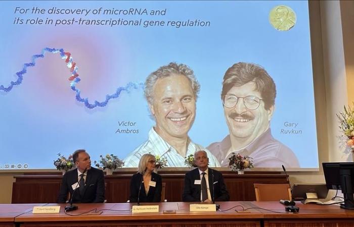 Il Premio Nobel per la Medicina 2024 assegnato agli americani Ambros e Ruvkun