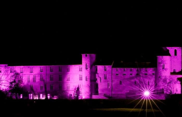 il castello di Foix e il palazzo vescovile sono adornati dai colori della campagna