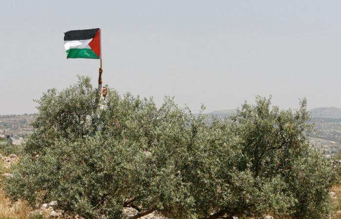 Perché i palestinesi non lasceranno la loro terra | Opinioni