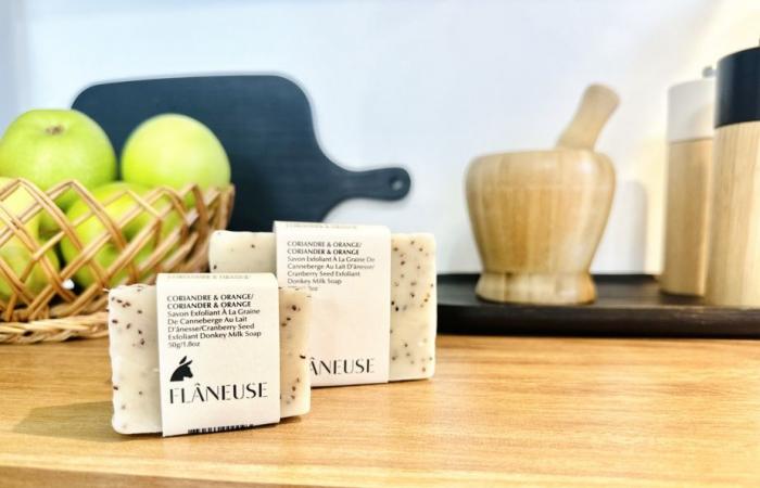 Innovazione PMI | Latte d’asina…un segreto di bellezza