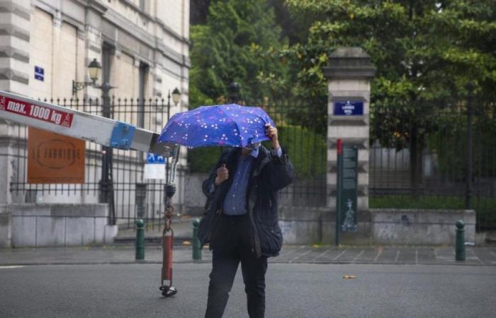 L’ex ciclone Kirk colpirà il Belgio: cosa dobbiamo aspettarci?