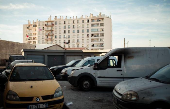 “Marsiglia illustra il collasso della nostra democrazia di fronte alla negazione della realtà”