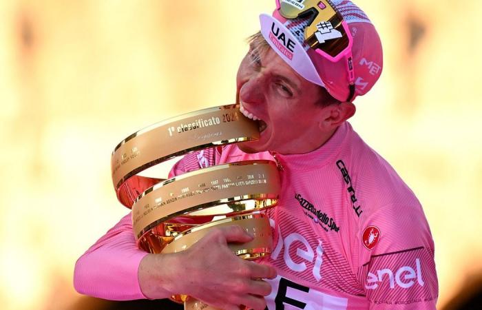 Tadej Pogacar è già sopra Eddy Merckx, davvero?