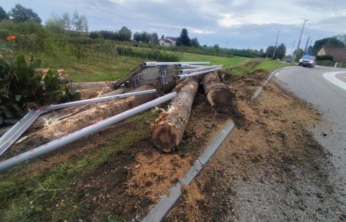 Spettacolare incidente con un mezzo pesante: tronchi finiscono nel giardino di un’abitazione