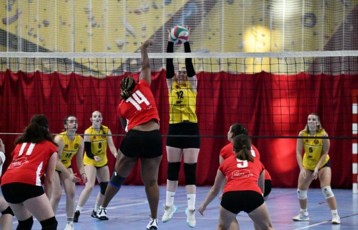 PALLAVOLO: Una grande vittoria per le donne di Le Creusot contro il Besançon