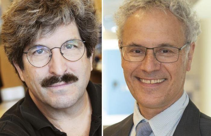 Gli americani Victor Ambros e Gary Ruvkun vincono il Premio Nobel per la medicina per la scoperta dei microRNA