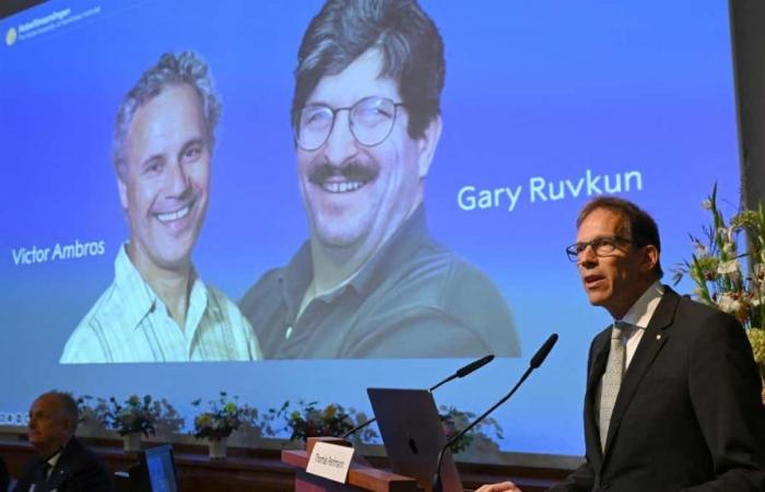 Il Premio Nobel per la medicina va agli americani Ambros e Ruvkun per una svolta nella regolazione genetica