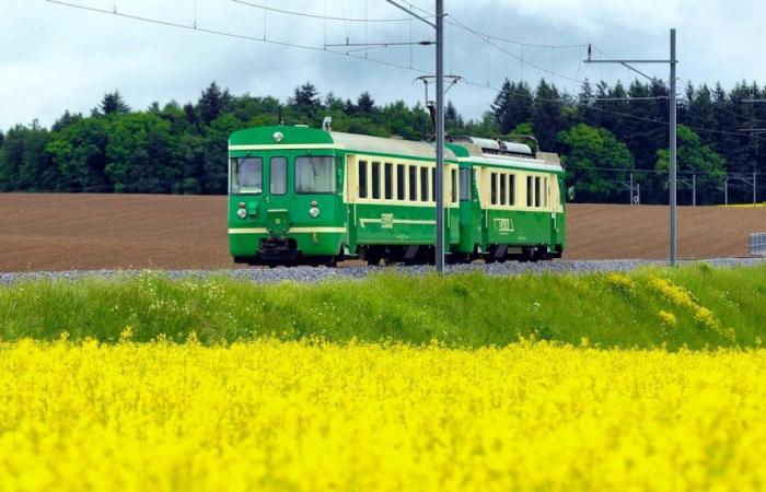 Il taglio del trasporto pubblico regionale potrebbe far lievitare i prezzi