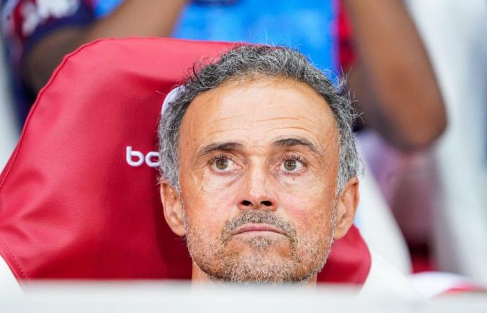 Stella “attaccata” del PSG, Luis Enrique sale in campo!