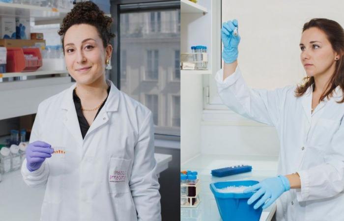 Due giovani ricercatrici della Charente-Maritime vincono il premio L’Oréal-UNESCO per le donne e la scienza