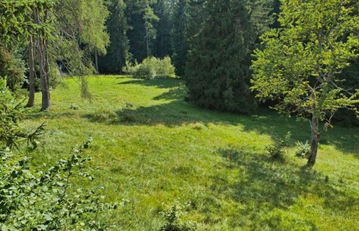 Amici della natura contrari allo spostamento del campeggio Gryon (VD)