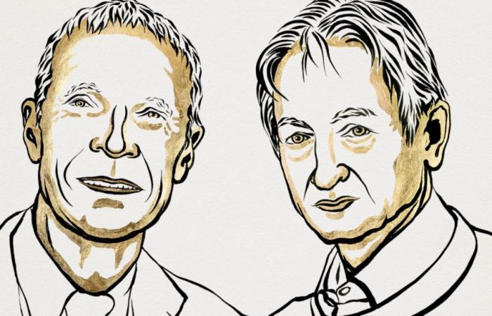 John J. Hopfield e Geoffrey E. Hinton premiati in fisica per il loro lavoro sull’intelligenza artificiale