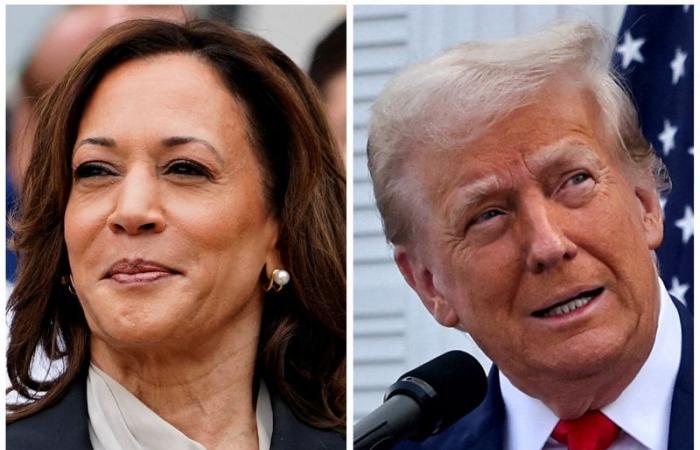 Esclusivo – Il vantaggio di Kamala Harris su Donald Trump si riduce al 46% dal 43%, secondo il sondaggio Reuters/Ipsos