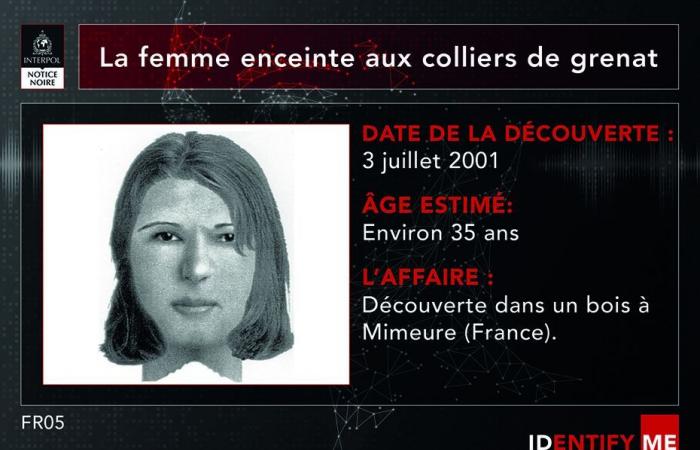 Chi è “la donna incinta dalle collane di granati”? L’Interpol riapre le indagini, 23 anni dopo l’omicidio in Borgogna