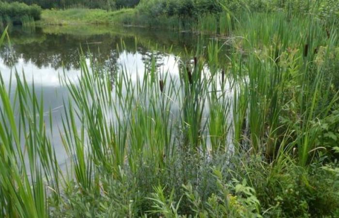 infrastrutture che potrebbero dare una spinta alla natura