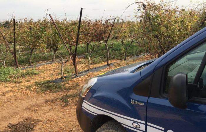 arresto in tribunale per una coppia