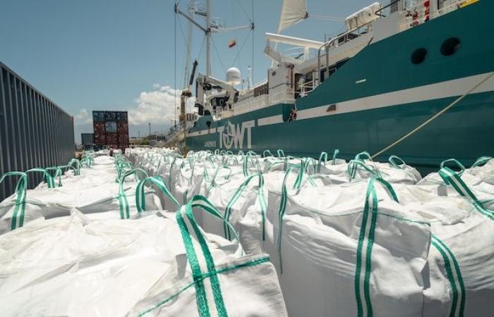 Verso la decarbonizzazione marittima grazie alle barche a vela cargo