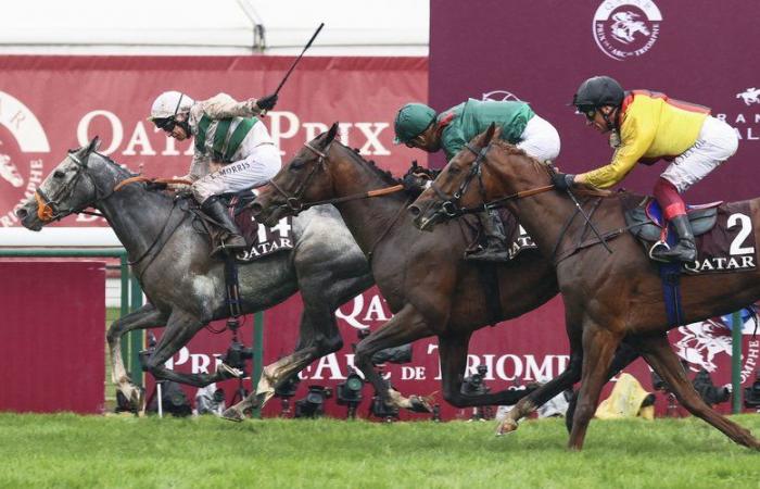 Ha avuto un “comportamento strano”: un cavallo muore pochi istanti dopo essere stato fermato nella sua corsa durante il Prix de l’Arc de Triomphe del Qatar