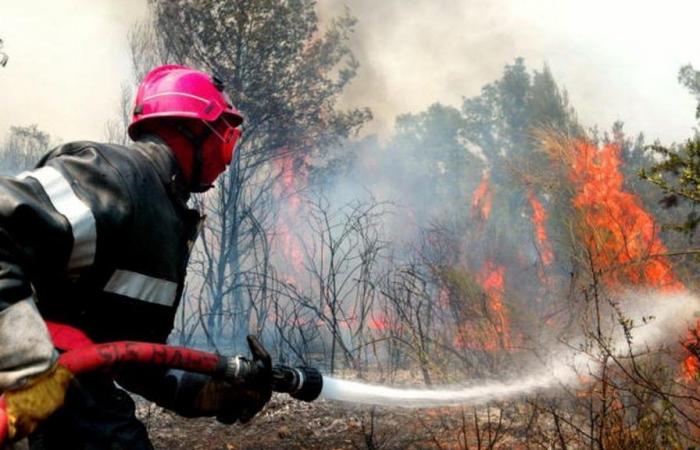 Clima: la Francia orientale prevede un raddoppio del rischio di incendi