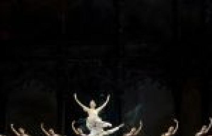 Alvin Ailey American Dance Theatre: la compagnia di danza torna a Parigi