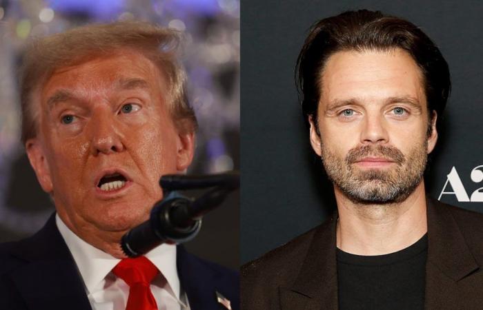 Jon Stewart pensa che Trump dovrebbe essere lusingato che Sebastian Stan lo interpreti