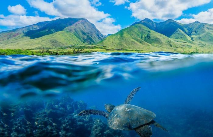 Previsioni meteo per Maui per l’8 ottobre 2024: Maui adesso