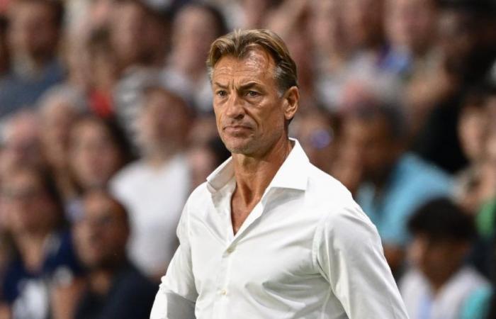 Hervé Renard, una proposta impossibile da rifiutare?