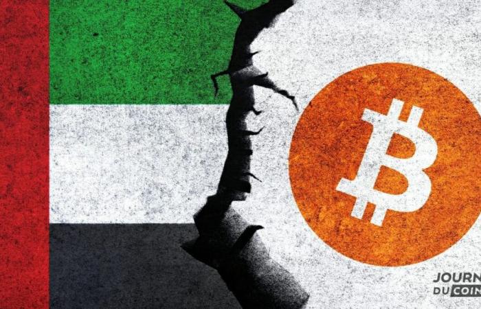 Criptovaluta e IVA: gli Emirati Arabi Uniti allentano ulteriormente la legislazione