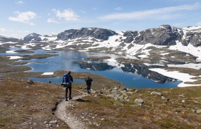 In panne nel mezzo della Norvegia, una coppia di Élancourt viene salvata da una star televisiva