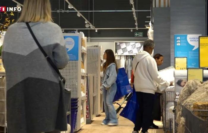 “Una strategia piuttosto intelligente”: Jysk, il rivale danese di Ikea, attira sempre più francesi con i suoi prezzi bassi