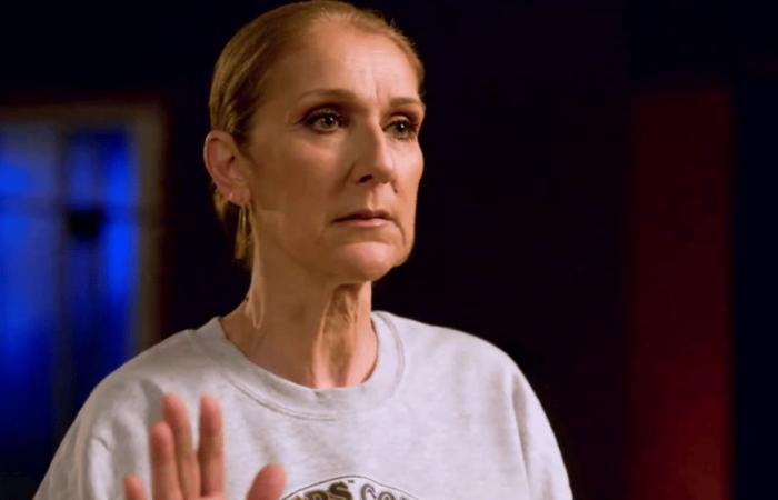 Una vera bomba che riguarda Céline Dion e Jean-Jacques Goldman alimenta le discussioni