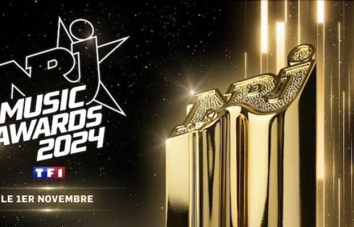 Numerosi artisti confermano la loro presenza alla 26esima edizione degli NRJ Music Awards che sarà trasmessa in diretta su TF1 da Cannes venerdì 1 novembre