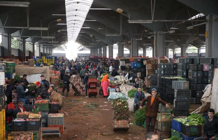 Casablanca: creazione del gruppo che gestirà la futura piattaforma agroalimentare