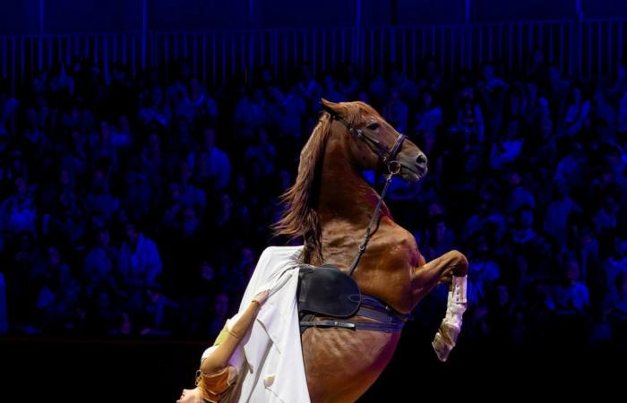 Les Folies Gruss, da vedere con la famiglia a Parigi fino al 03/02/2025