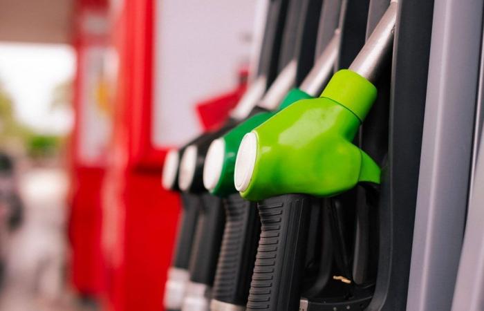 prezzo della benzina e del gasolio all’inizio della settimana