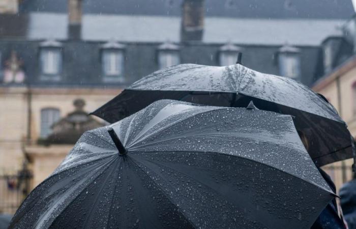 Pioggia e inondazioni: l’Ile-de-France messa in allerta arancione da mercoledì mezzogiorno