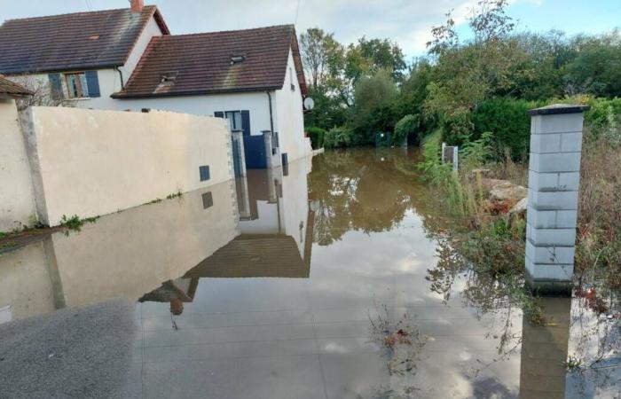 Alluvione – La Bourbince risorgerà