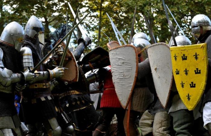 Sono 1.200 i cavalieri attesi per la 12a Rosa d’Oro questa domenica sull’isola della Barthelasse