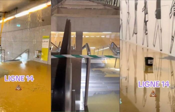 [EN IMAGES] La metropolitana linea 14 è stata gravemente allagata ieri sera