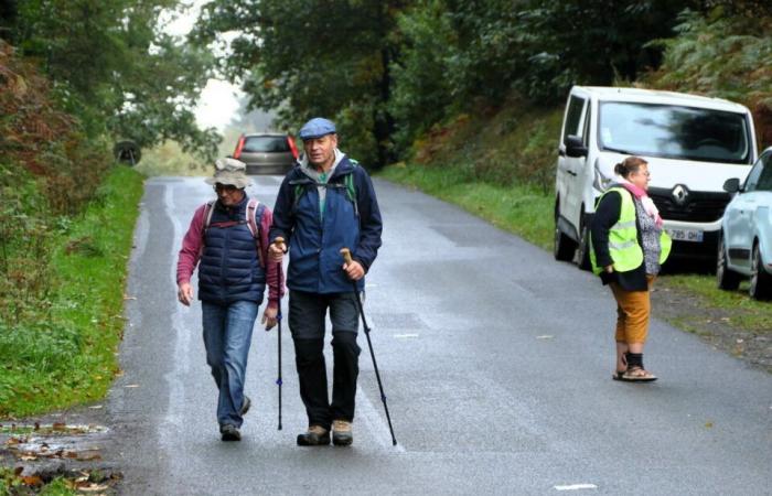 FOTO. 510 escursionisti si sono riuniti in una foresta del Calvados