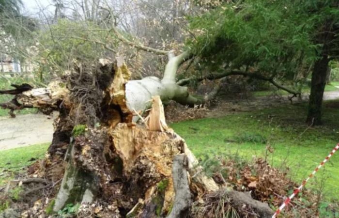 Allerta meteo KIRK – Alti Pirenei e Pirenei Atlantici in allerta arancione per venti violenti Mercoledì 9 ottobre, Gers e Alta Garonna in allerta gialla