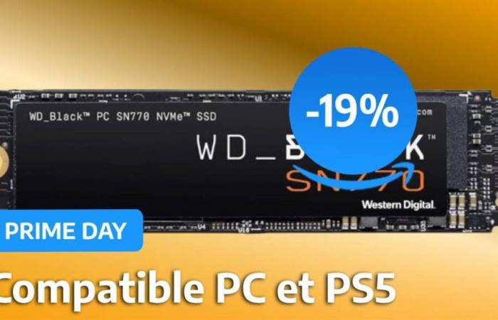 La migliore offerta Prime Day su un SSD da 2TB non è su Amazon, ma presso questo commerciante francese